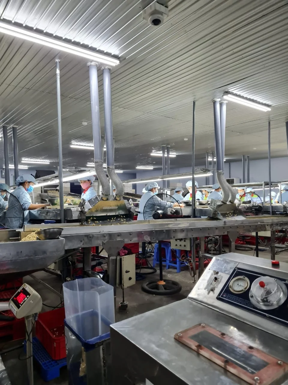 TOP QUALITY CASHEW NUT PEELING MACHINE 5 TONS PER DAY