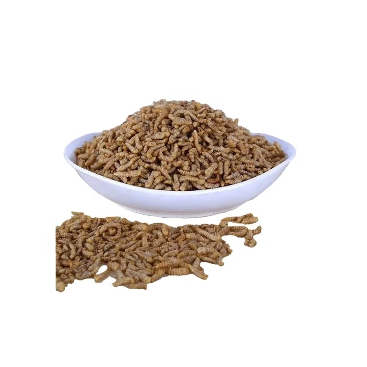 Wholesale custom private label silkworm pupae chrysalis feed silkworm feed grade yellow 25kg 25 tons dried grasshopper silkworm