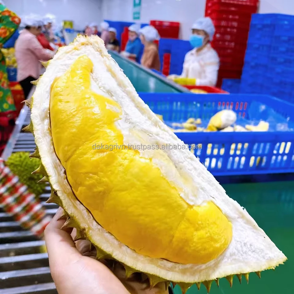 Высококачественный Monthong Durian из Вьетнама свежий для экспорта оптом с хорошим MOQ