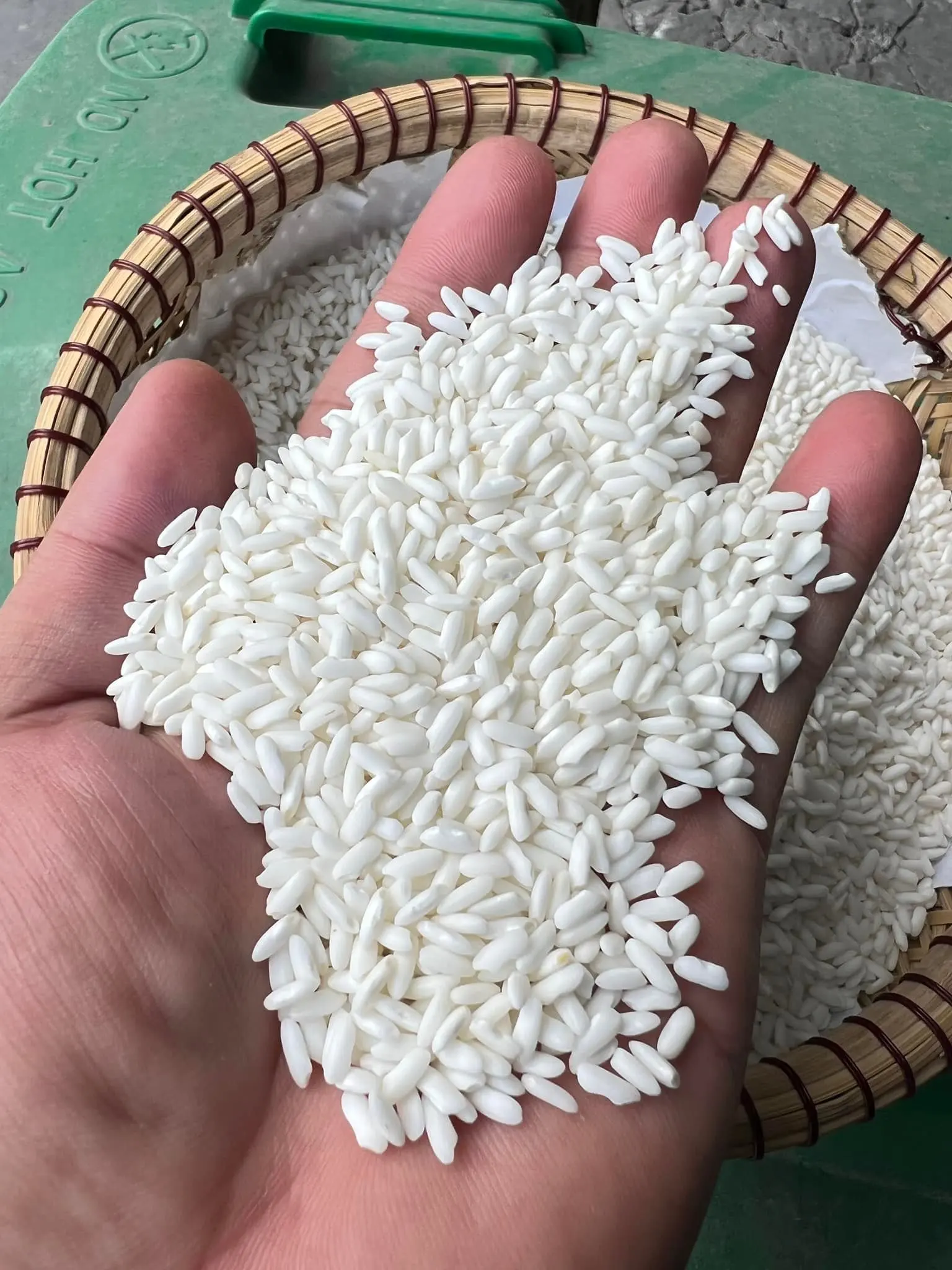 Long An Rice Young Sticky Rice / Glutinous Rice 10% Broken Price Vietnam Glutinous Rice  - ANNA DO W/A +84982153058