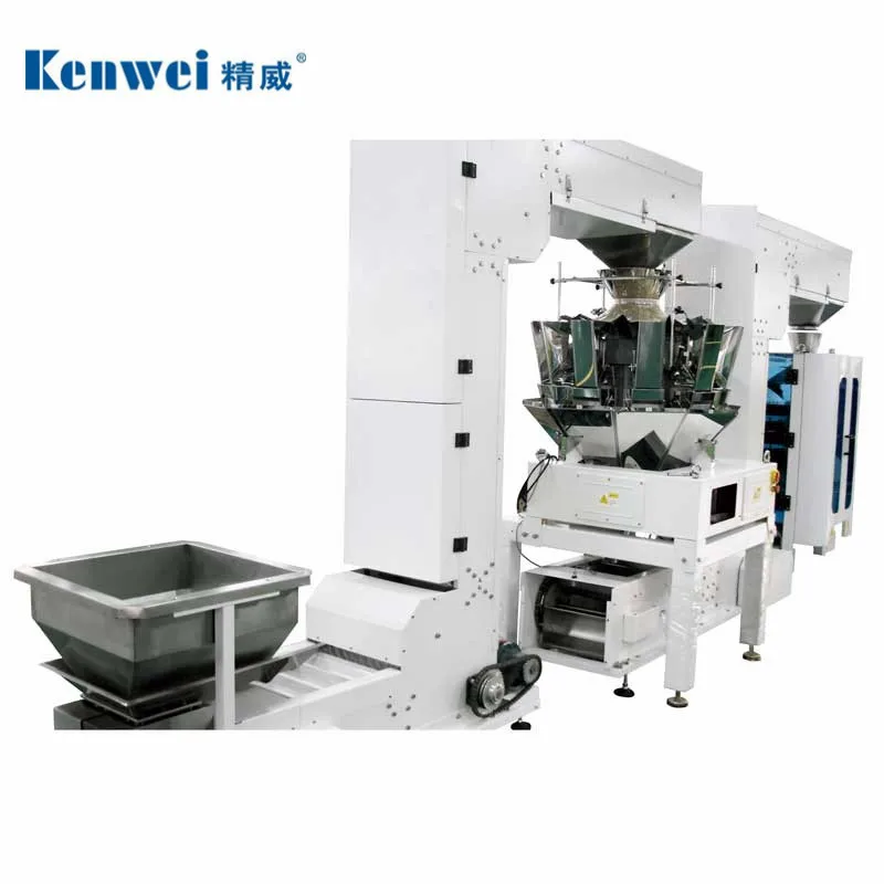 Z type stainless steel conveyor for corn conveying in production line JW-D1