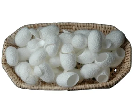 {HOT - SALE} - Silkworm cocoons/ high quality high quality goods with good price exported from Vietnam