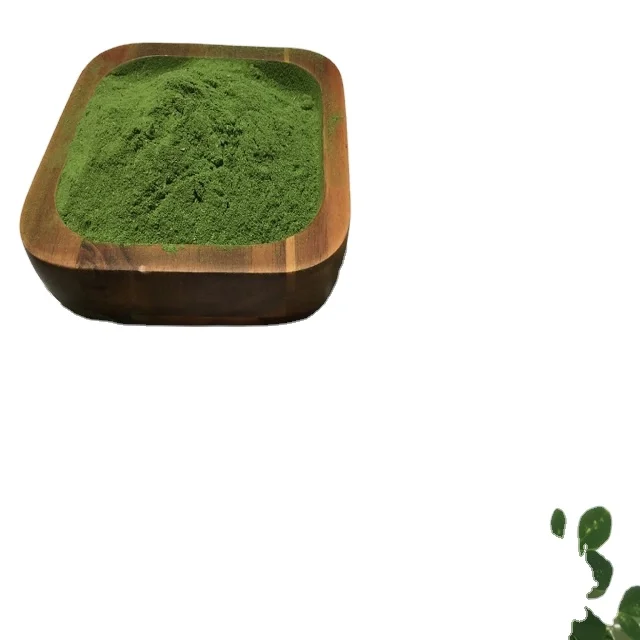 A grade Quality Wholesale dried moringa leaves