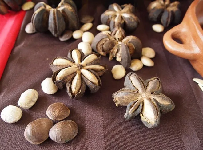BEST PRICE | Dried Sacha Inchi Nuts/ Inca Peanut with high quality from Viet Nam