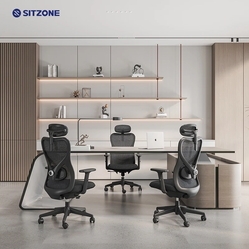 Sitzone Ergonomic Office Chair Adjustable Mesh Chair 2D Lumbar Support Work Executive Office Furniture Staff Chair