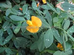 Arachis oil IP/BP/USP/Ph.Eur/NF