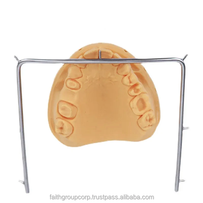 Stainless Steel Rubber Dam Dental Clamp Frame Dental Instrument Teeth Care Pliers Equipment Lab Orthodontic