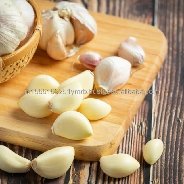 high quality new crop fresh garlic original supplier full dried goods wholesale price garlic