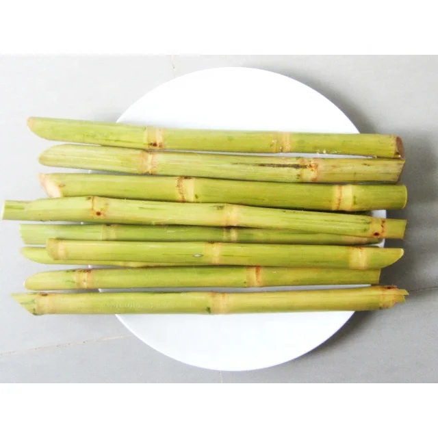 Best Selling Agriculture Products Wholesale Frozen Sugarcane From Vietnam