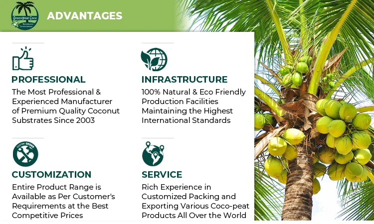 Best in quality worldwide renowned exporter of coconut substrate 2kg cocopeat briquette eco-friendly and bio-degradable