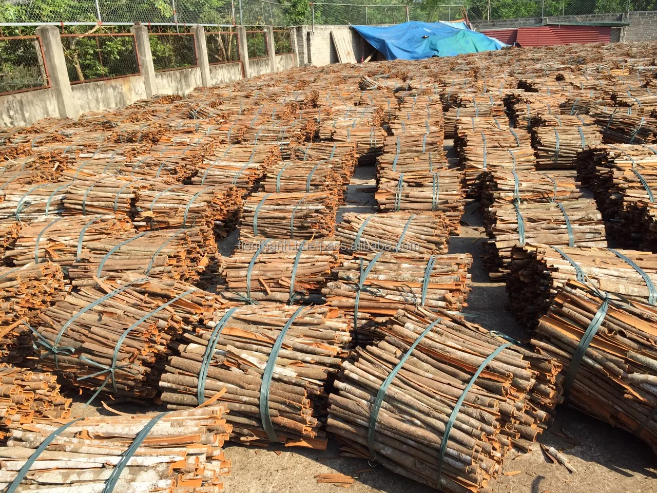 2022 NEW Dried Split Cassia Cinnamon / Dried Split Dalchini From Factory in Vietnam