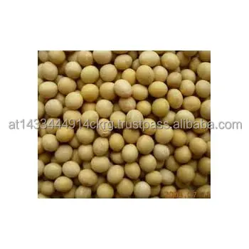 Canada Wholesale Dried Yellow Soybean Soya Seeds