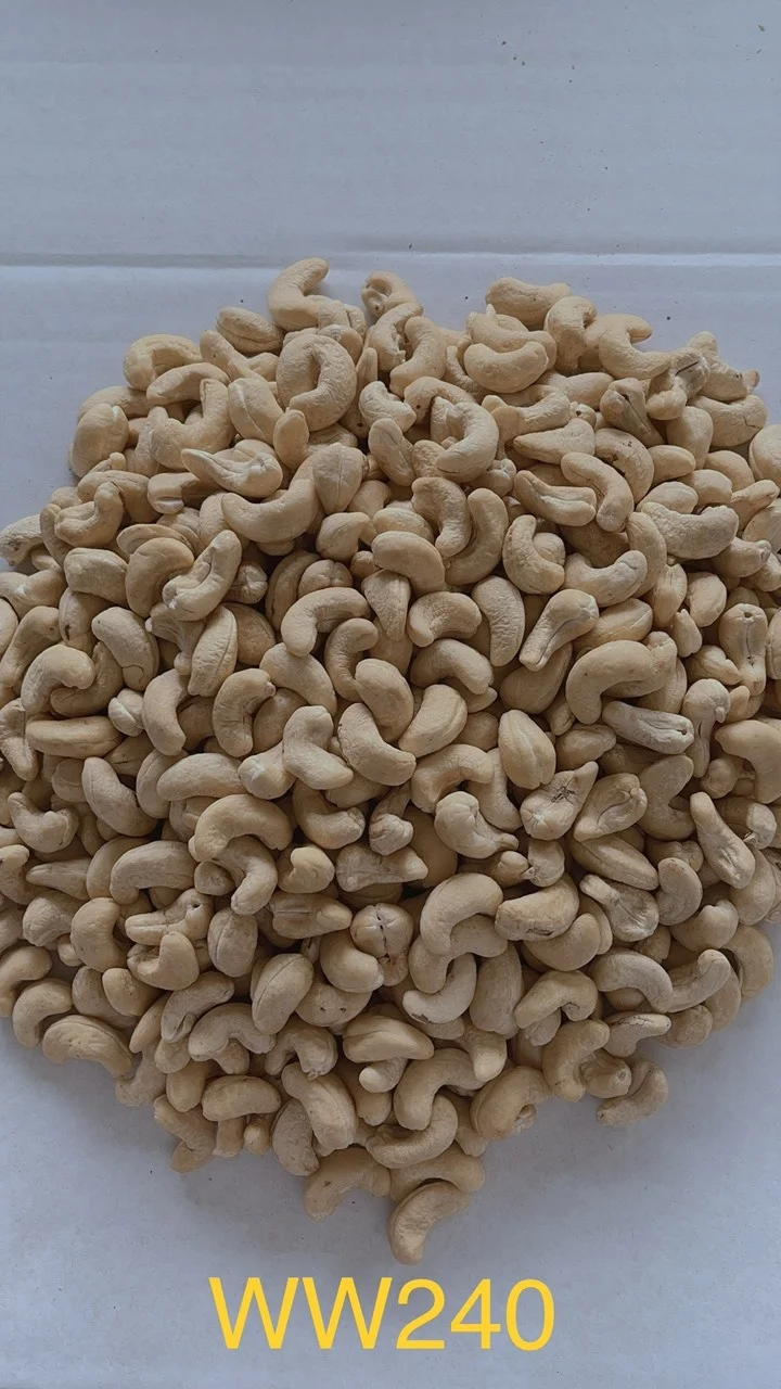 OEM вьетнамский орех кешью сырые орехи здоровые закуски органические в скорлупе