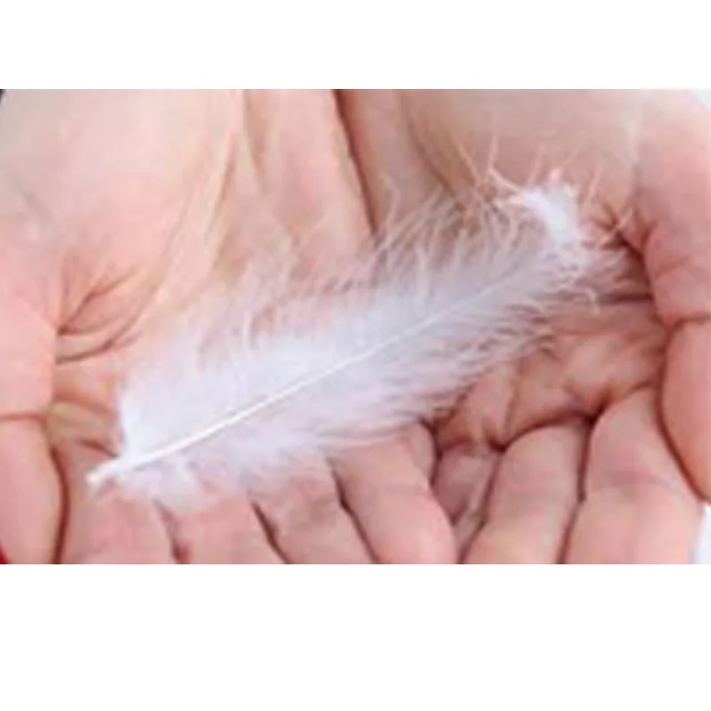 Whole sale factory pure down  Feather