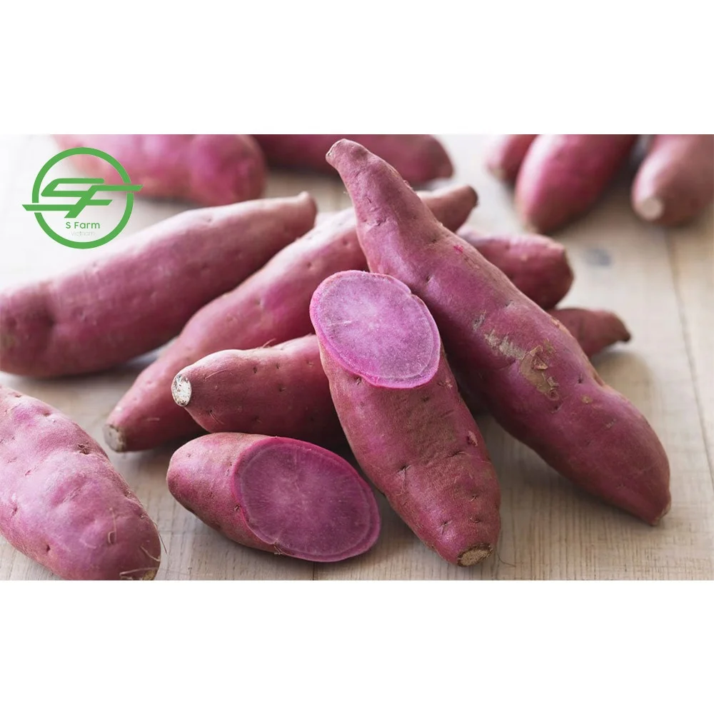  Хорошая цена фиолетовый сладкий картофель (Whatsapp/zalo/wechat: + 84 912 964 858)