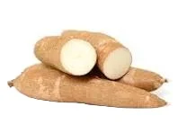 VIETNAM MODIFIED TAPIOCA STARCH - LOW PRICE HIGH QUALITY STARCH WHOLESALE FOR EXPORT - WA: 84924736232(MR Kelvin)