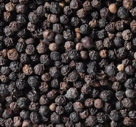 Premium quality Single Spices Vietnam pinhead black pepper origin from Vietnam reasonable price
