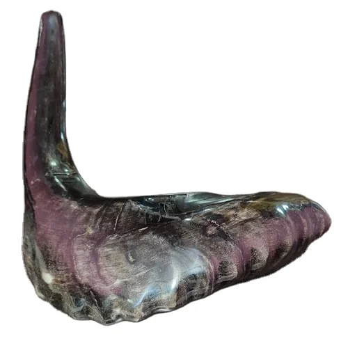 Редкий очень большой легкий натуральный гудок Shofar по подходящей