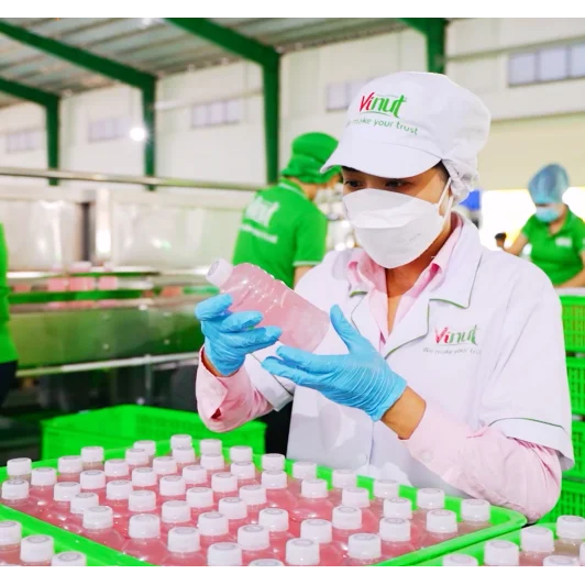 Доступные оптовые цены на 330 мл тропического сока с Nata De Coco & Jelly - VINUT от производителя бесплатный
