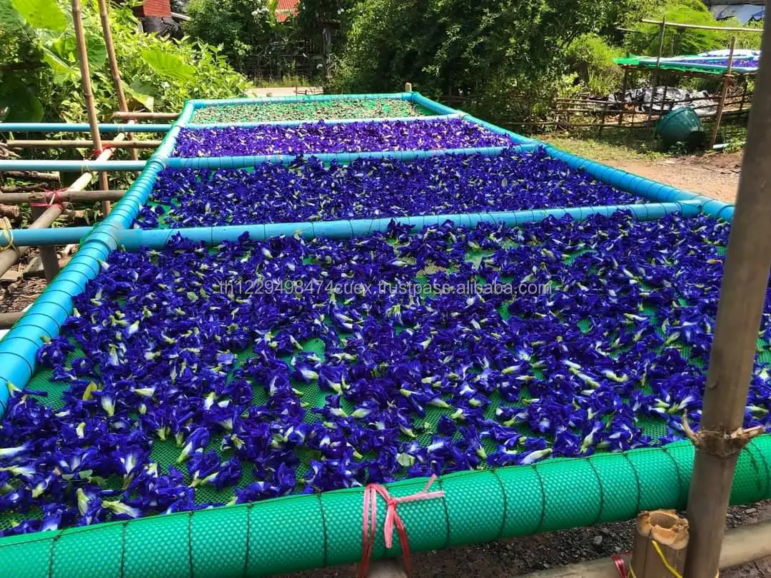 Dried Butterfly Pea
