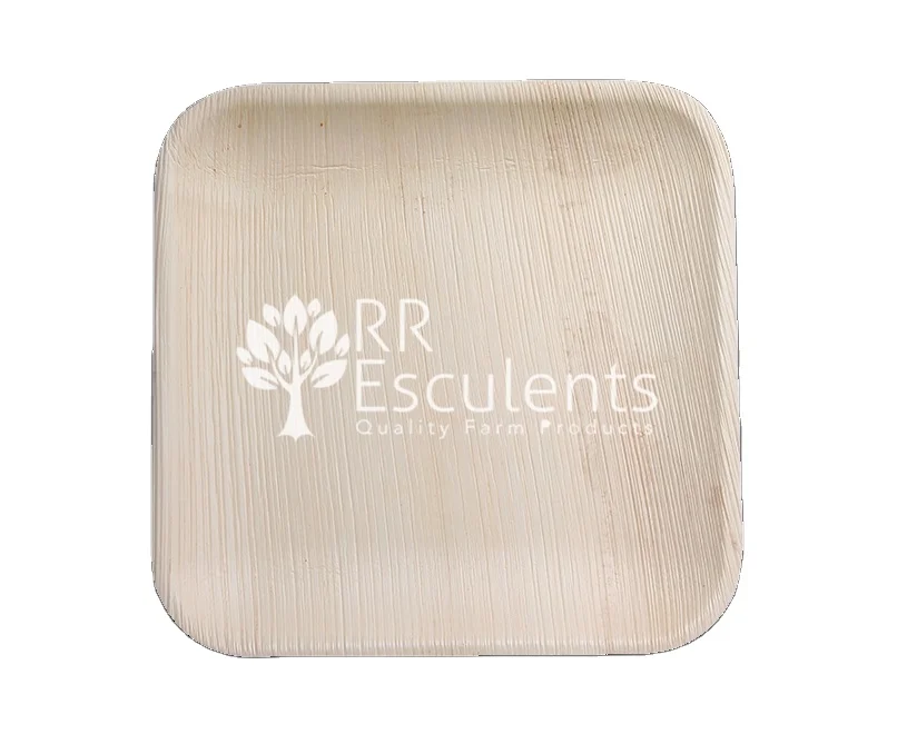 Best Quality Compostable 10 Inch Round Paper Plates Heavy Duty Plate  Palm Leaf Plates Disposable From India Manufacturer