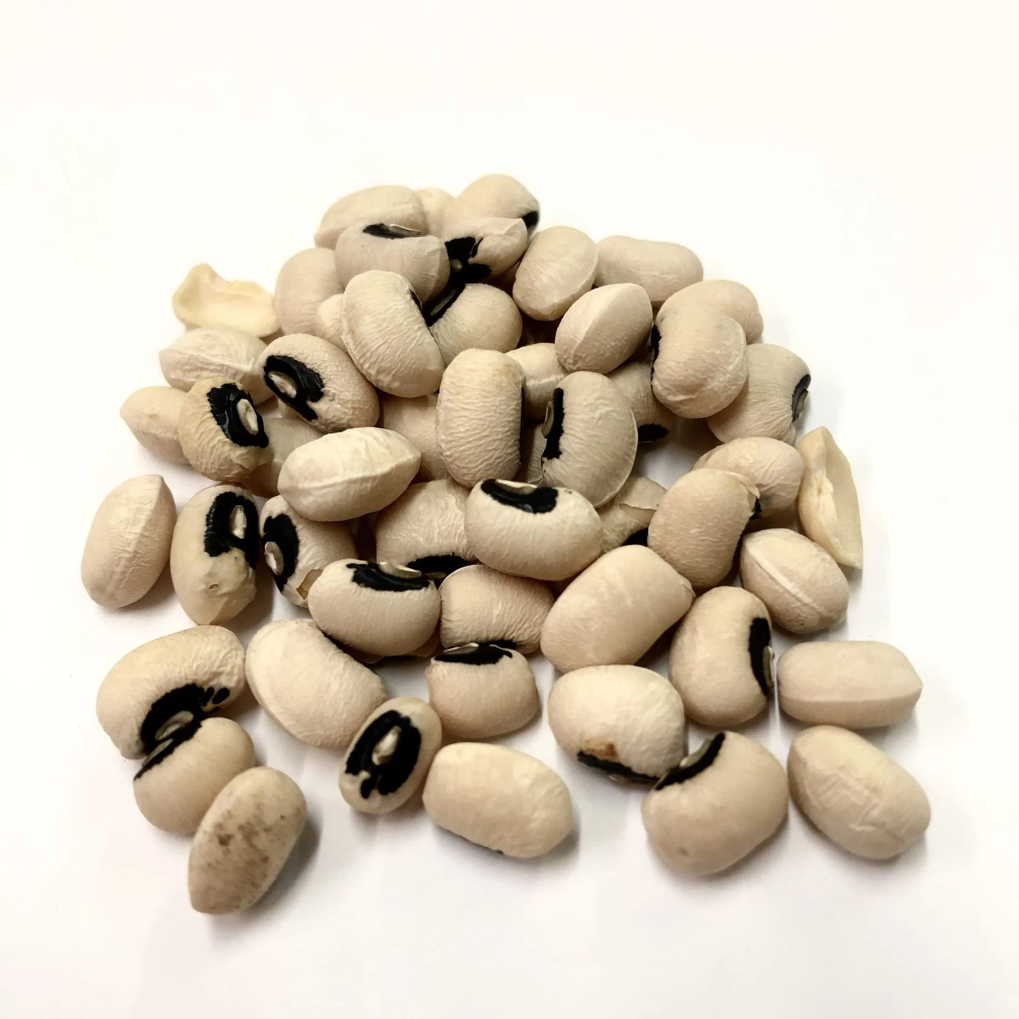 GRAIN Organic Good quality brown/black eye beans