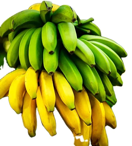 Индийский Свежий Кавендиш Банан