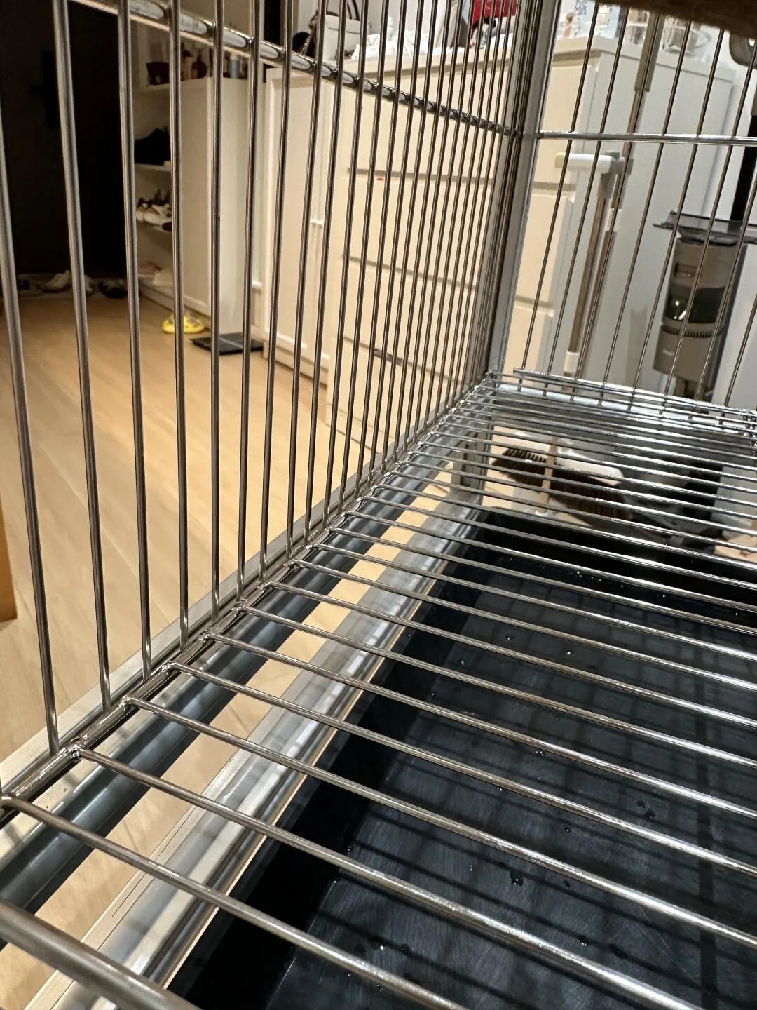 Custom Lightweight Aluminum Birds Cage Large with Artificial Tree and Integrated Camera Premium Aviary with Feeder Accessories
