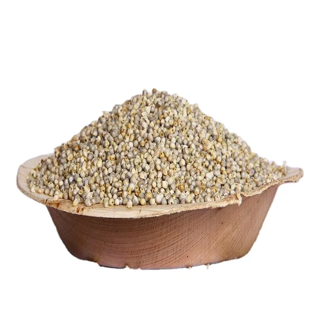 Bajra For Export