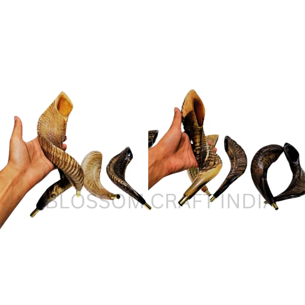 Authentic Horn Shofar / Kudu / Ram Horn / Polished Shofar Agate with Brass Whistle Easy to Blow at Religious Festival or Event