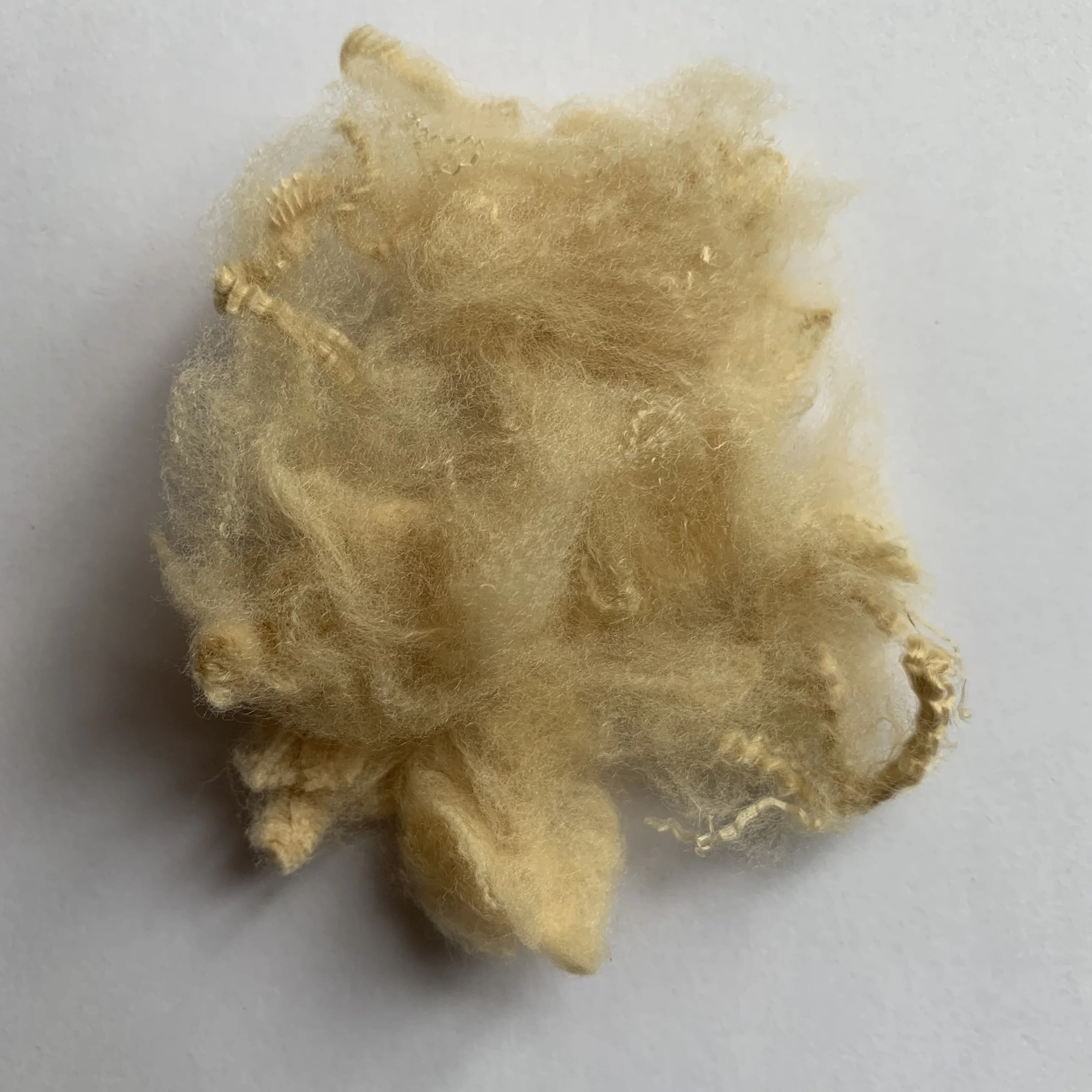 GRS certified Bishen 100% green staple polyester fiber