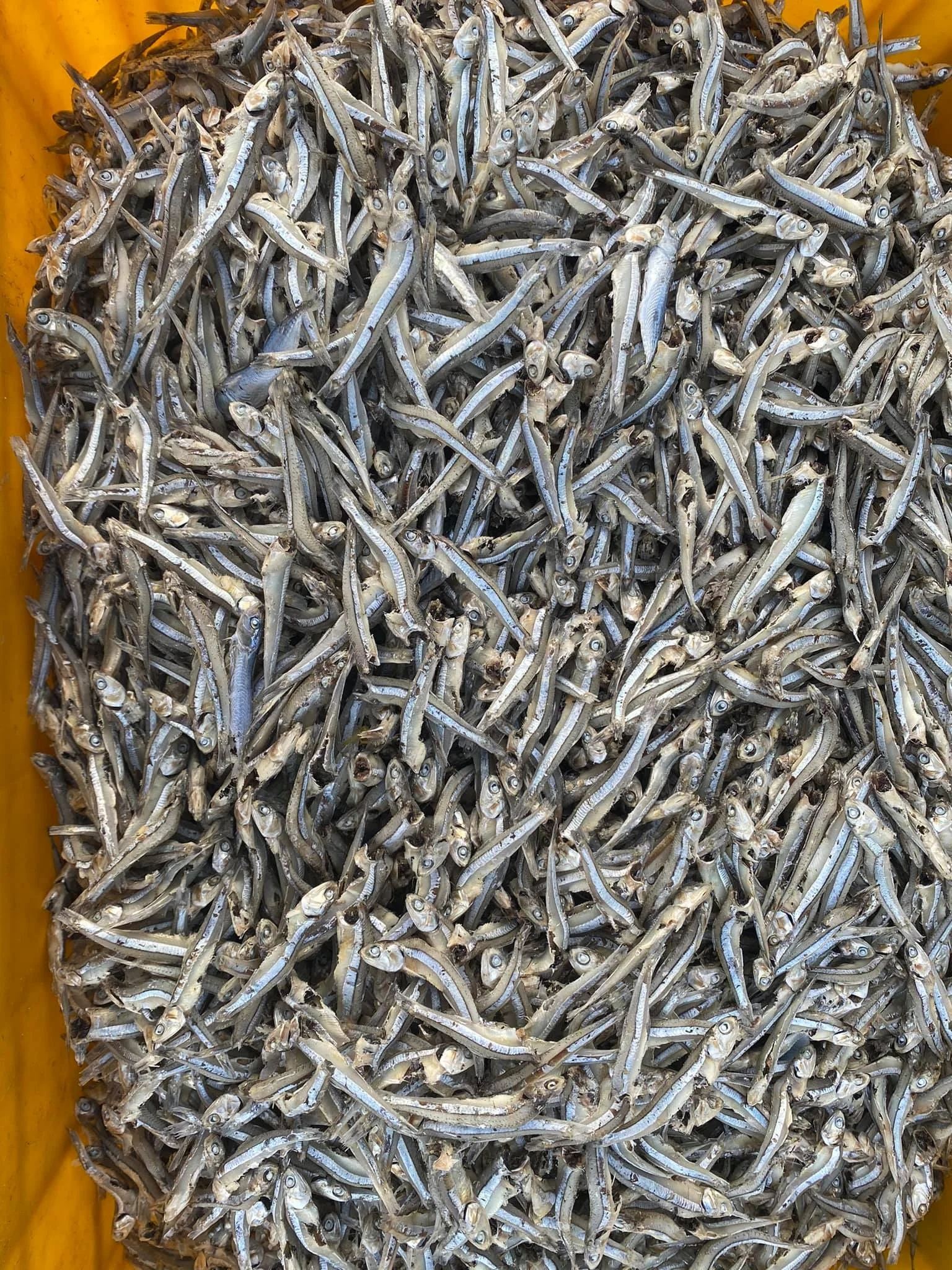 Wholesale OEM Bulk Packing Whole Dried Anchovy with Head Sun-Dried Seafood Fish for Soup