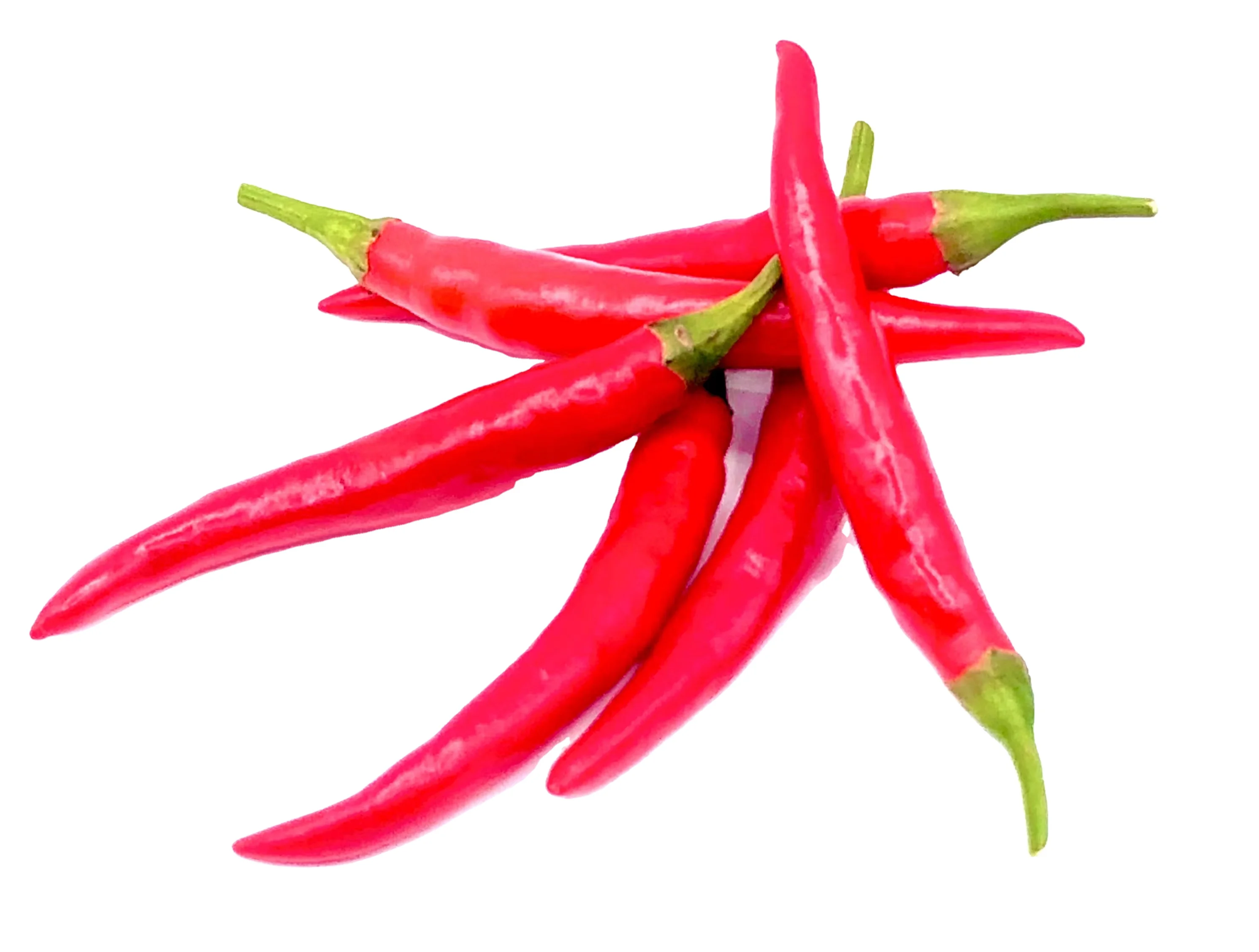 Premium Other Fresh vegetables Spices Seasoning Red Chili from Thailand