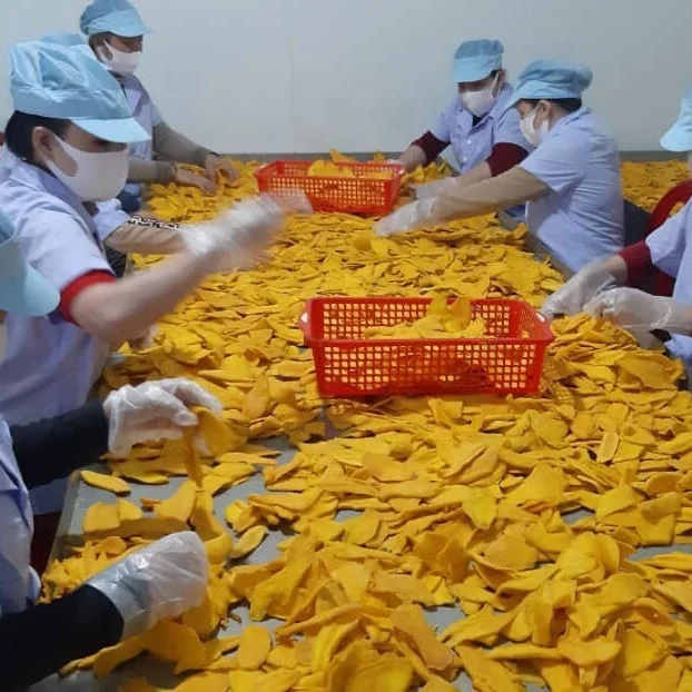 Soft Dried Mango OEM Packing 500gram 1KG  For Russian Market - Whatsapp 0084 989 322 607