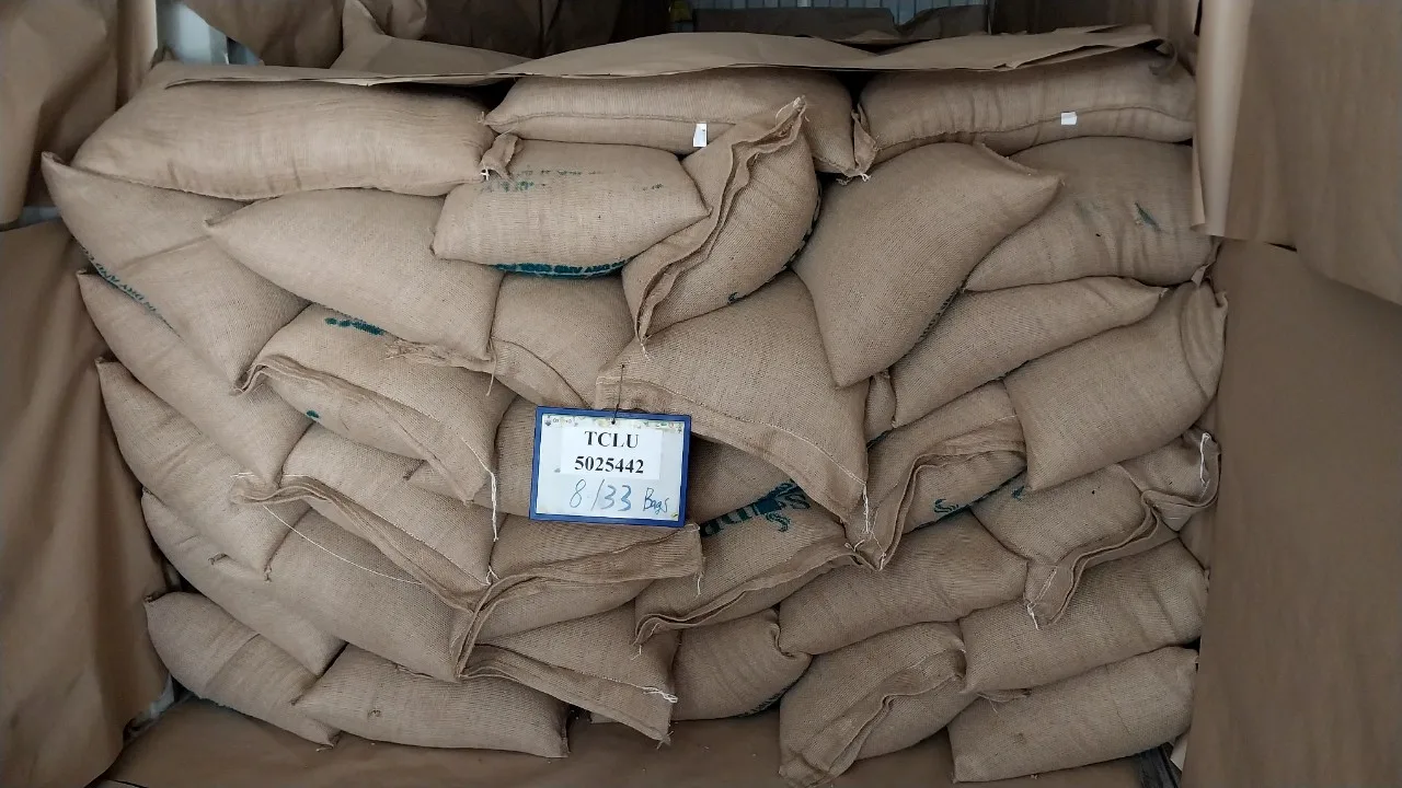 Premium Quality Kirar Raw Roasted Whole Bean Spicailty Arabica Washed 50 kg Strong Good Taste Hot Selling Available in Bulk