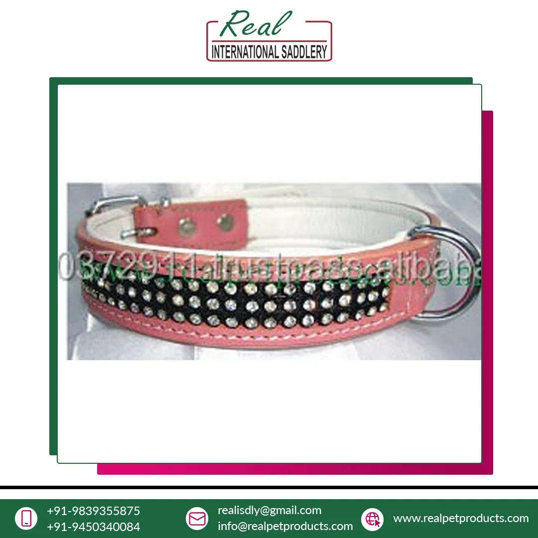 Best Quality Personalized leather dog collar with stainless steel dog chain collar at best price