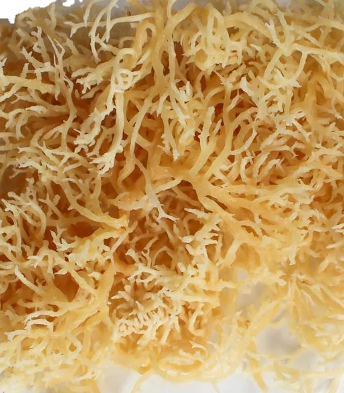 100% Натуральные Сушеные Водоросли Eucheuma Cottonii-сушеные водоросли для экспорта из
