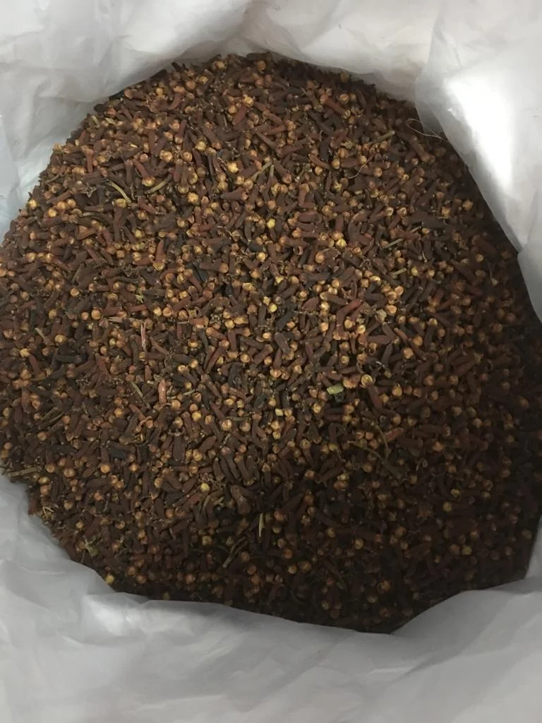 Clove Herbs Spices Top Quality Spices Organic Clove Meat Cooking Products in Bulk High Essential Oil Content Cloves