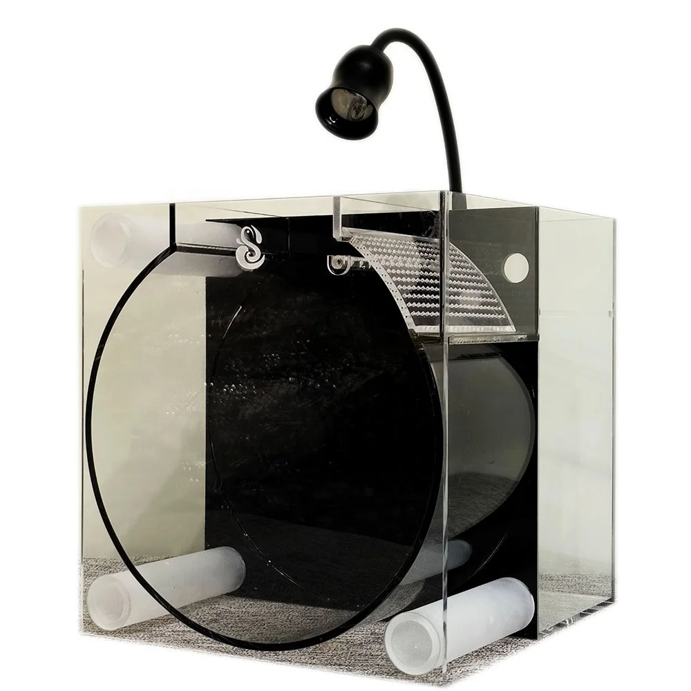 Artistic and Captivating Fish Tanks: Elevating Interior Design with Aquatic Elegance in Modern Homes and Offices