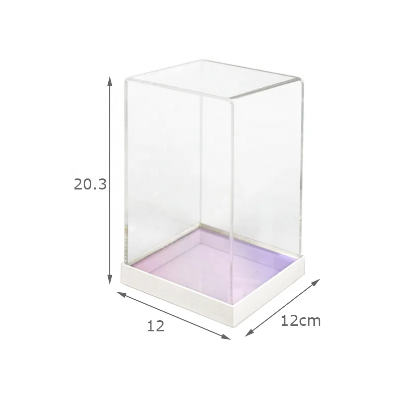 Box For Collections Rainbow Color Base Display Box