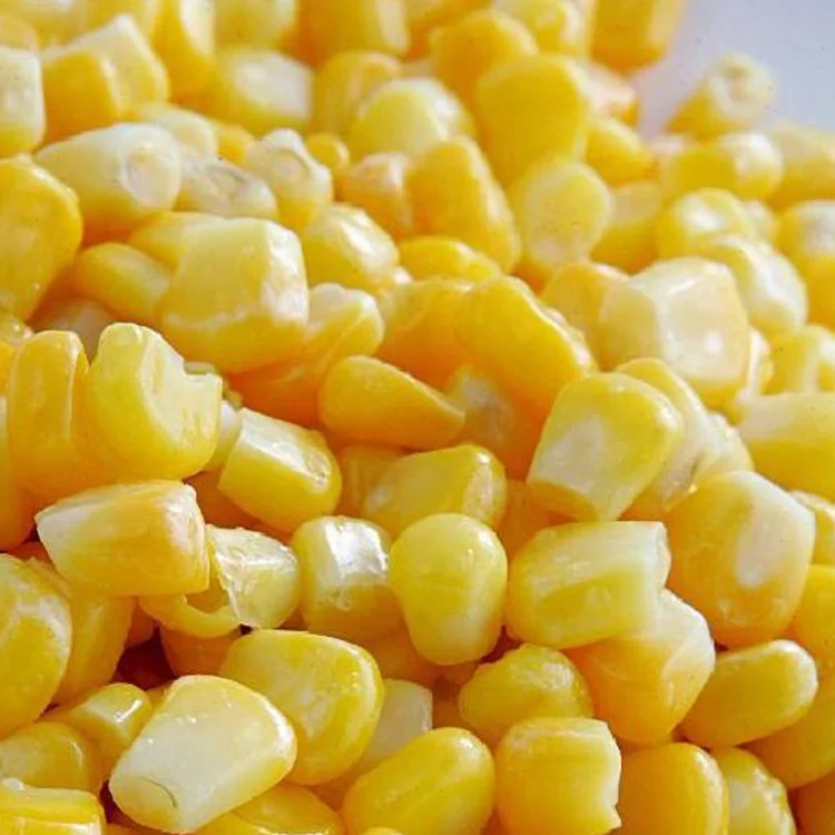Wholesale 100% fresh ingredients Sweet corn 500g made in Vietnam