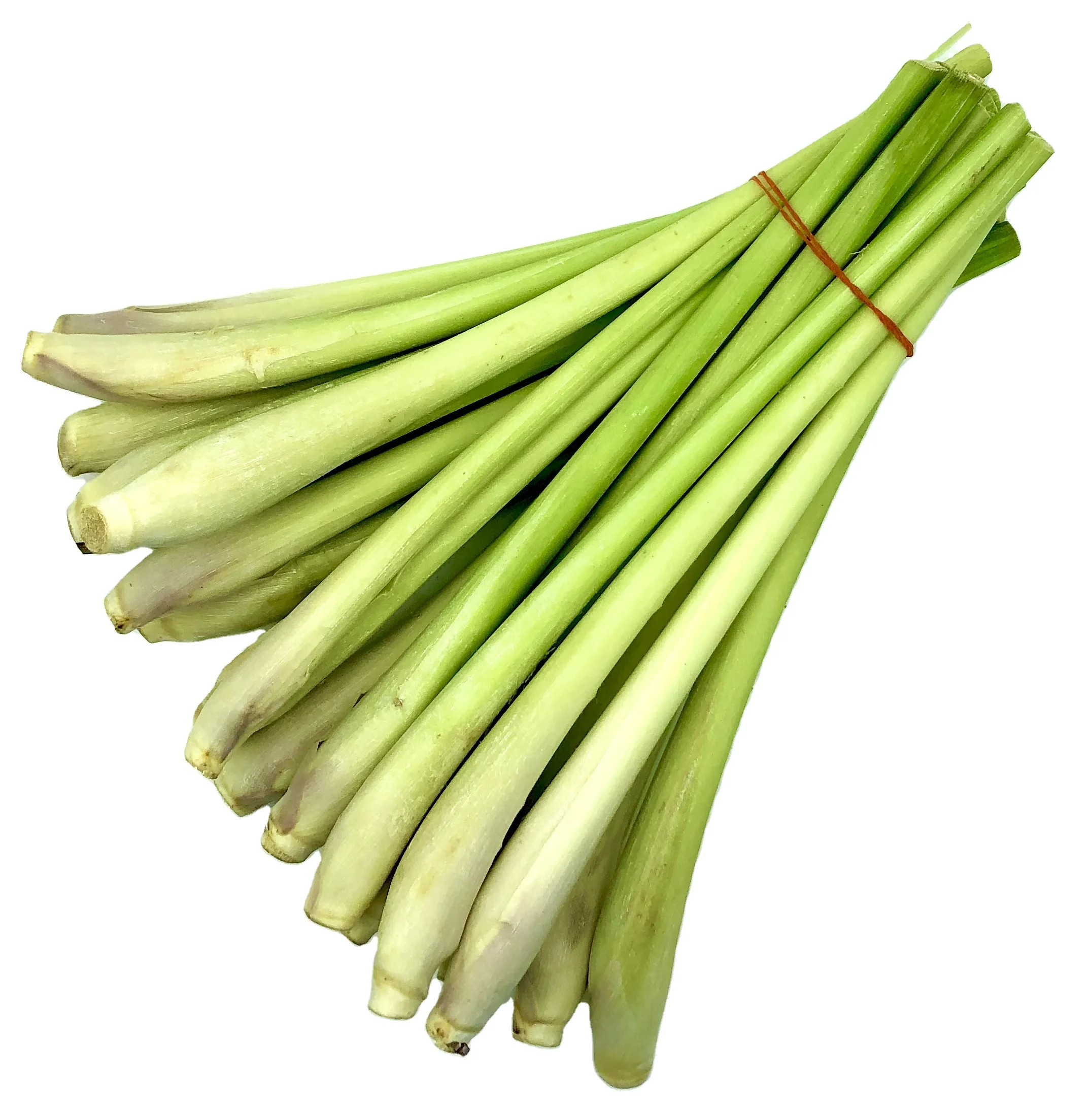 Premium Fresh Herb Lemon grass Flavorful Healthy Seasoning from Thailand
