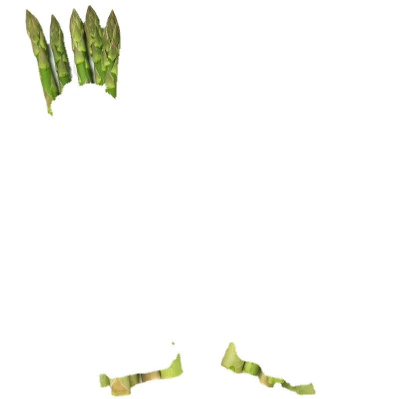 Goog price high quality fresh green asparagus in 370ml