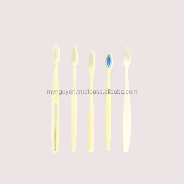 Hotel Toothbrush New Product Using For Hotel Custom Oem Odm Tooth Cleaning Packaging In Box Made In Viet Nam Factory
