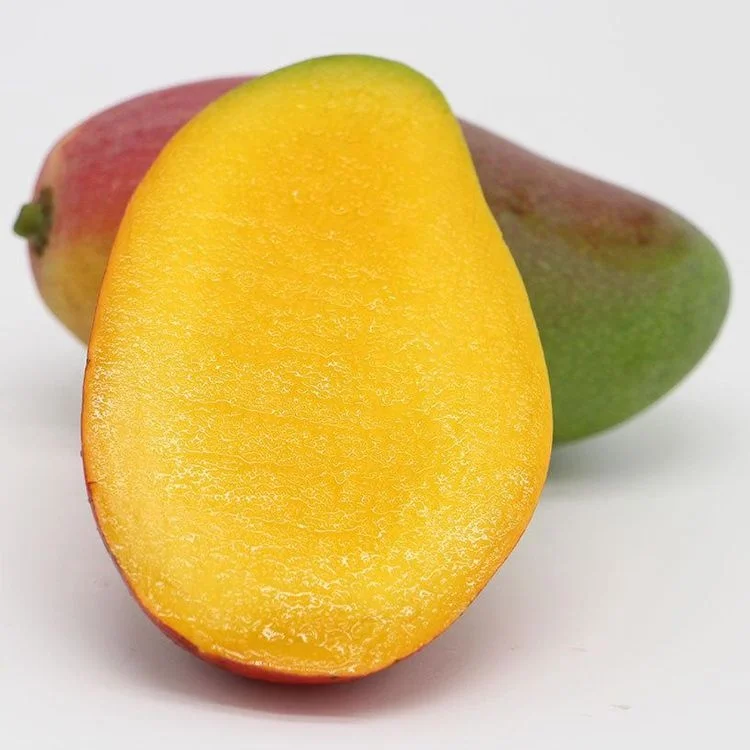 Wholesale Good Quality Fresh Mango Fruits Exported Thin Kernel Sweet Juicy Mango