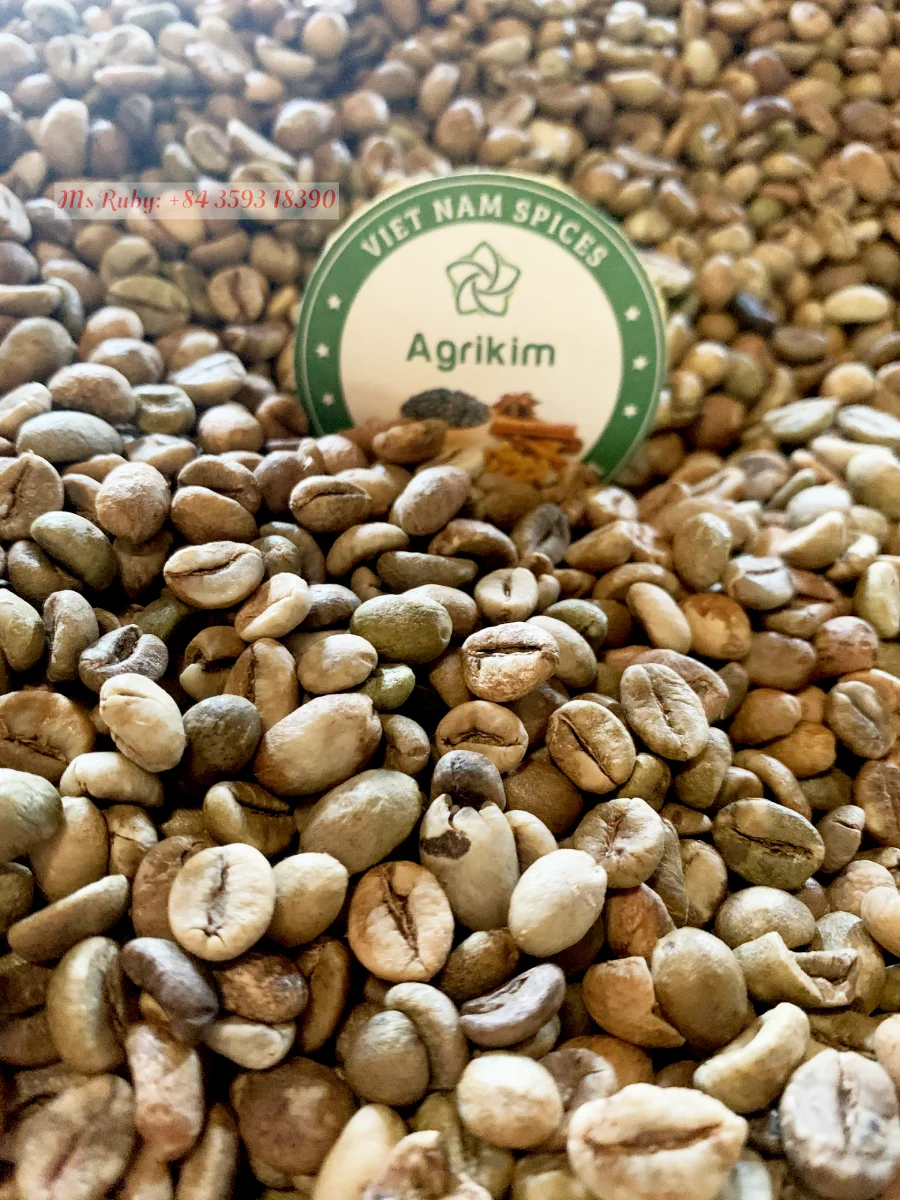 Best Price Of Raw Coffee Green Coffee Bean Robusta Coffee From Vietnam Available Contact Supplier Mr. Henry +84 368591192