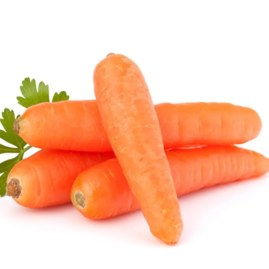[HOT SALE 2022] Fresh Carrots - High Quality Big Bulk Cheap Price Ready To Ship From Viet Nam