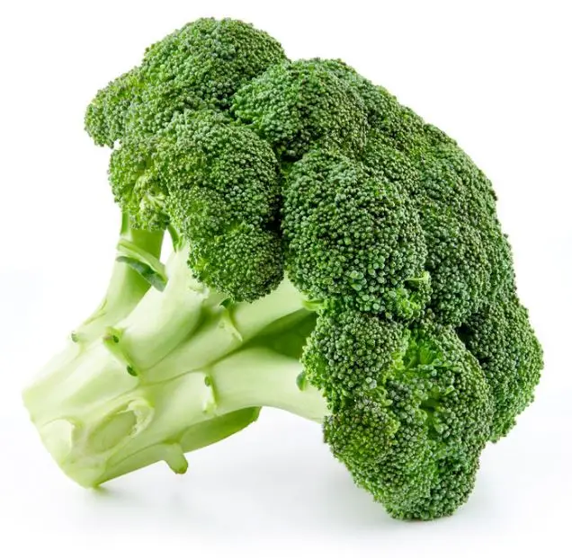 Top Grade High Quality Export Orient Wholesale Fresh Broccoli Hot Sale Fresh Broccoli Factory Low Price Broccoli From Bangladesh