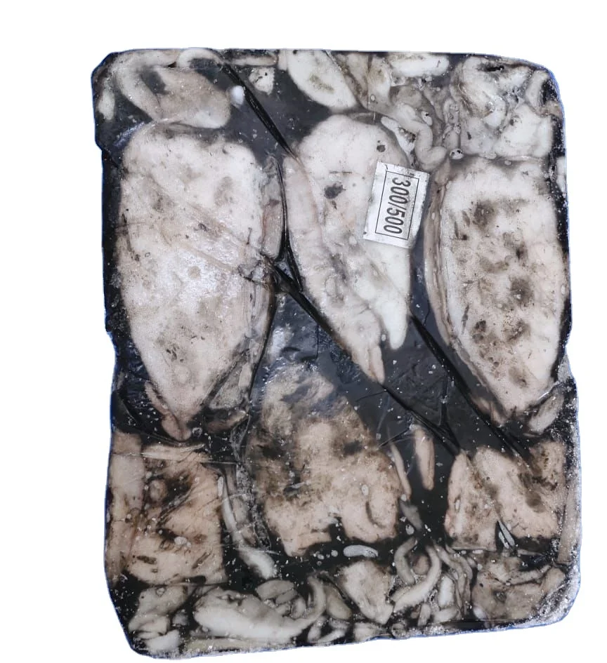 FROZEN WHOLE CUTTLEFISH