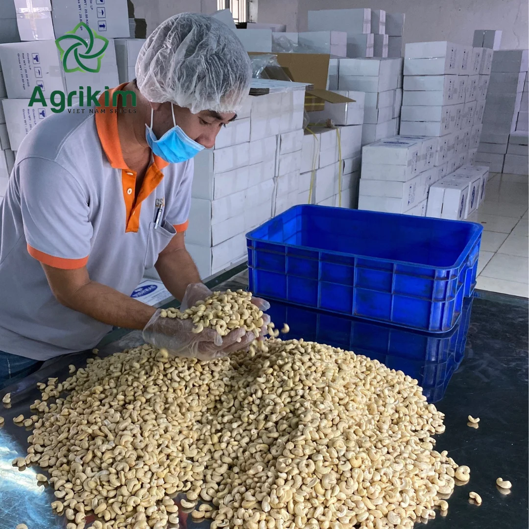 The Original Cashew Nuts cashew nuts w320 cashew nuts w320 w240 Viet Nam With Factory Price spices +84368591192 Mr. Henry
